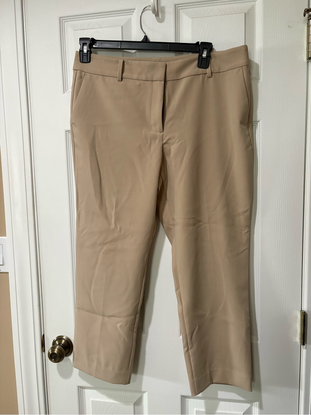 Ann Taylor Factory Beige Cropped Dress Pants